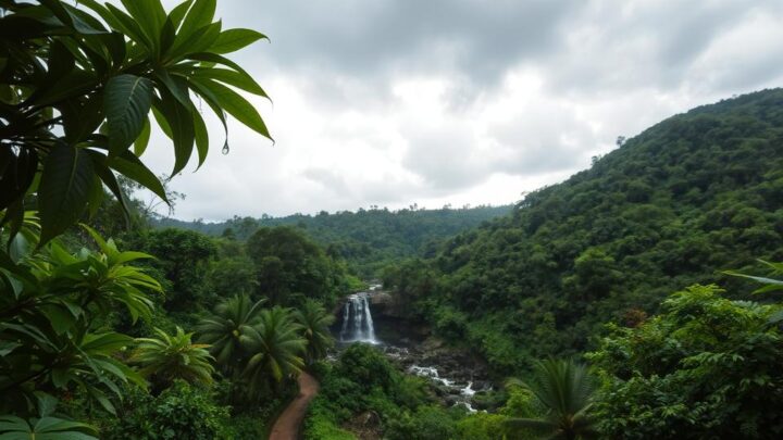 Koh Samui Regenzeit: Wetter, Aktivitäten und Reiseinfos
